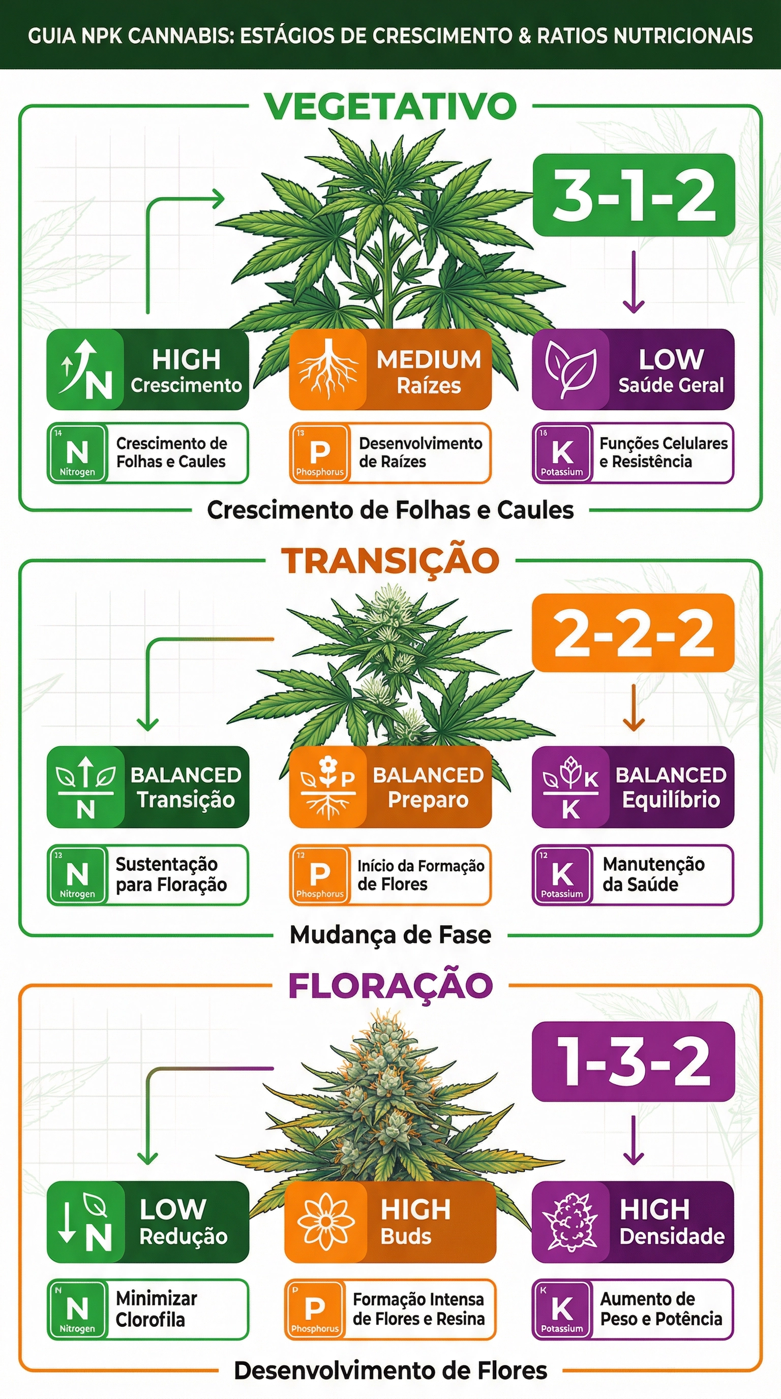 Infográfico educacional explicando as proporções de NPK para diferentes estágios de crescimento da cannabis.