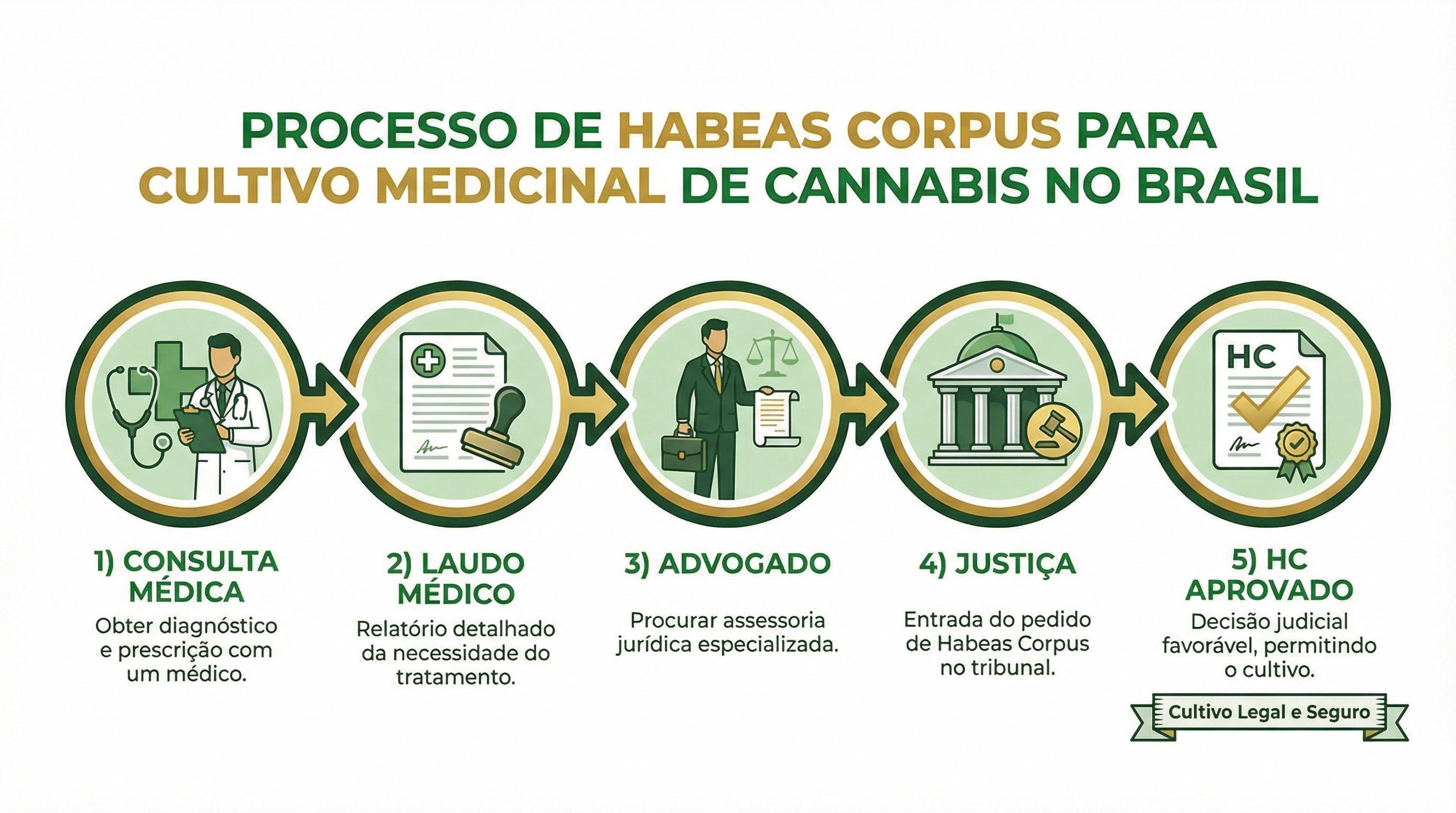 Infográfico educacional mostrando o processo legal para obter Habeas Corpus para cultivo de cannabis no Brasil.