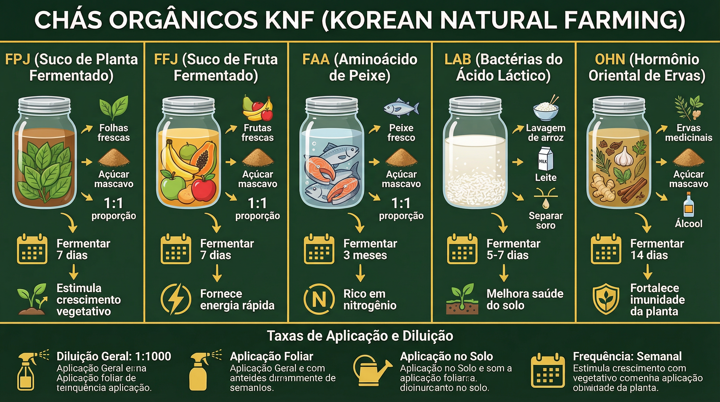 Infográfico educacional sobre chás orgânicos e insumos KNF para cultivo de cannabis.