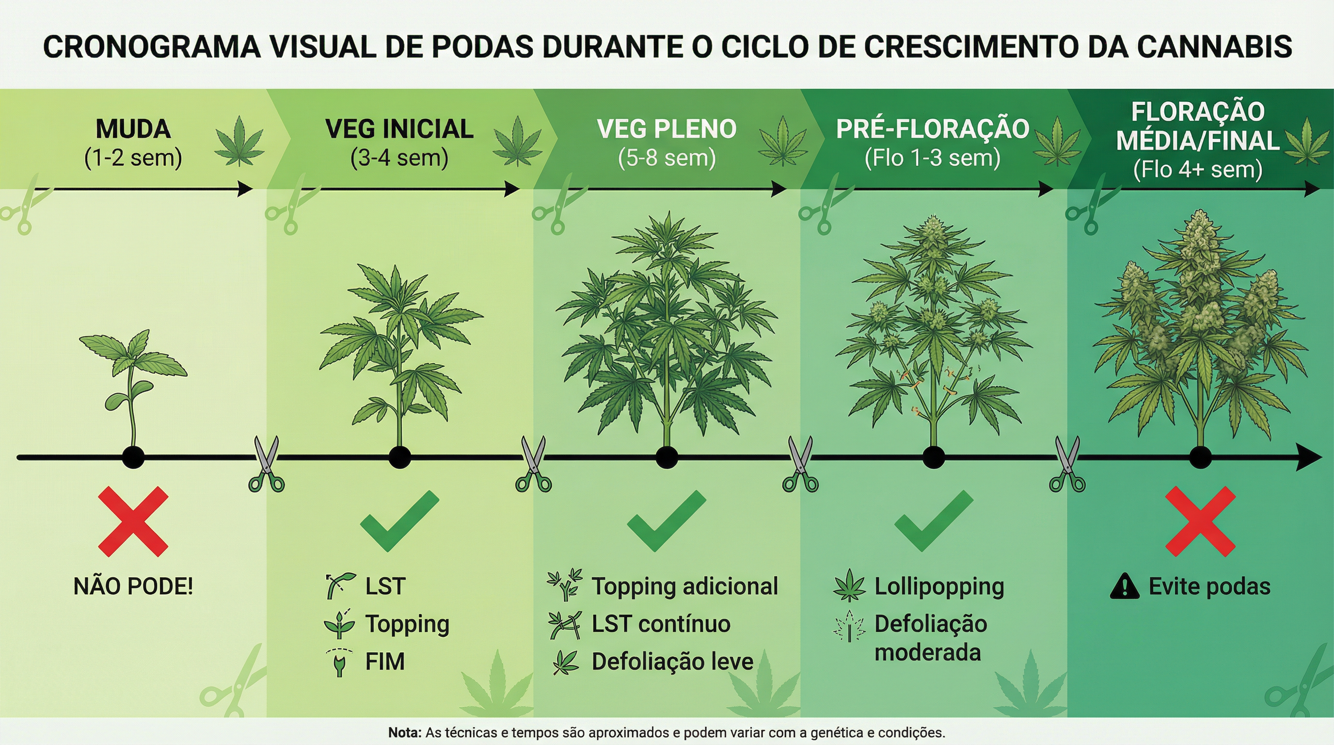 Cronograma visual mostrando quando aplicar cada técnica de podagem durante o ciclo de cultivo.